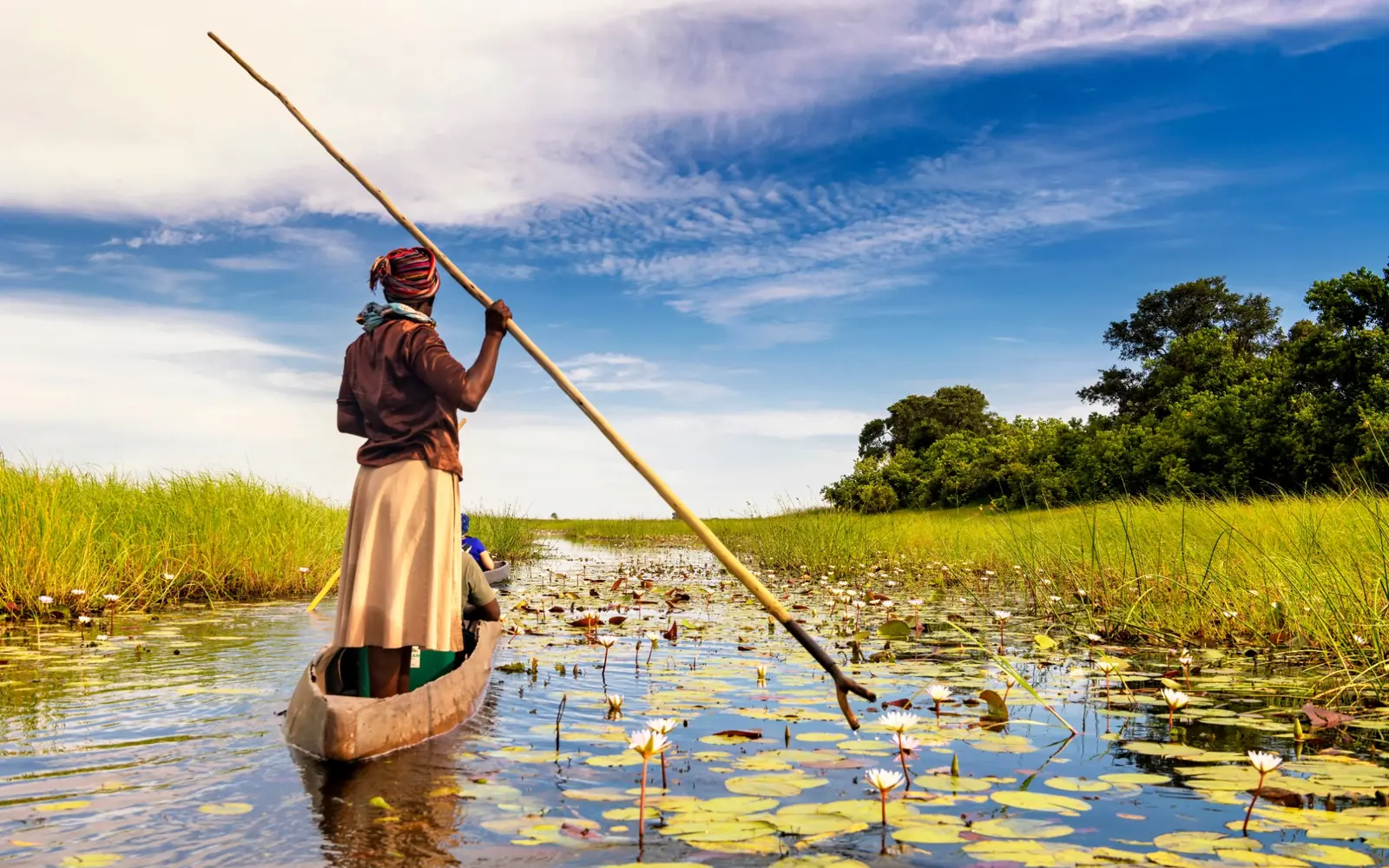 Elephant moving through the Okavango Delta in Botswana