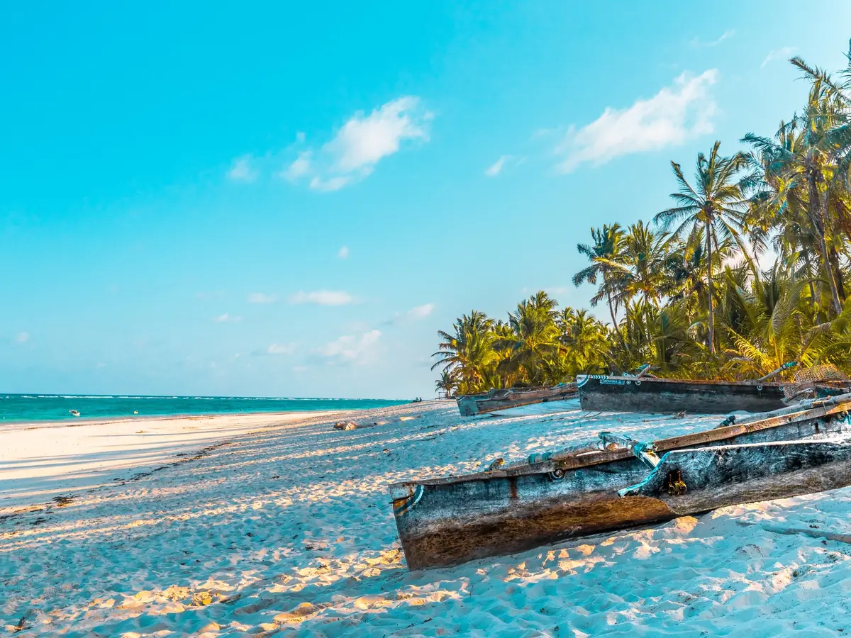 Fishing boats and palm trees on Kenya's Swahili coast
