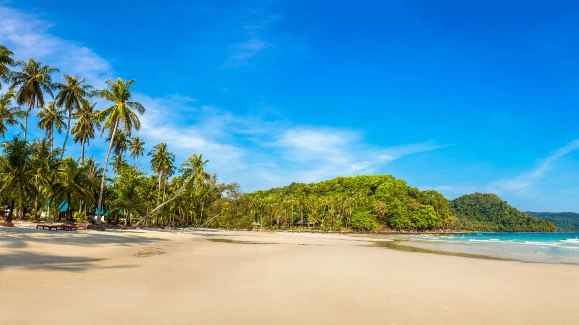 Wide palm-fringed beach beneath a blue sky in Mauritius