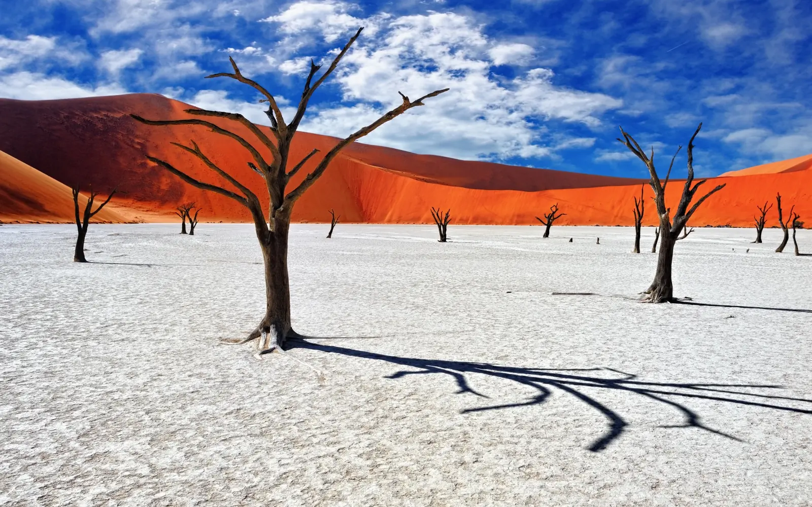 Dead trees and red dunes at Deadvlei in Namibia