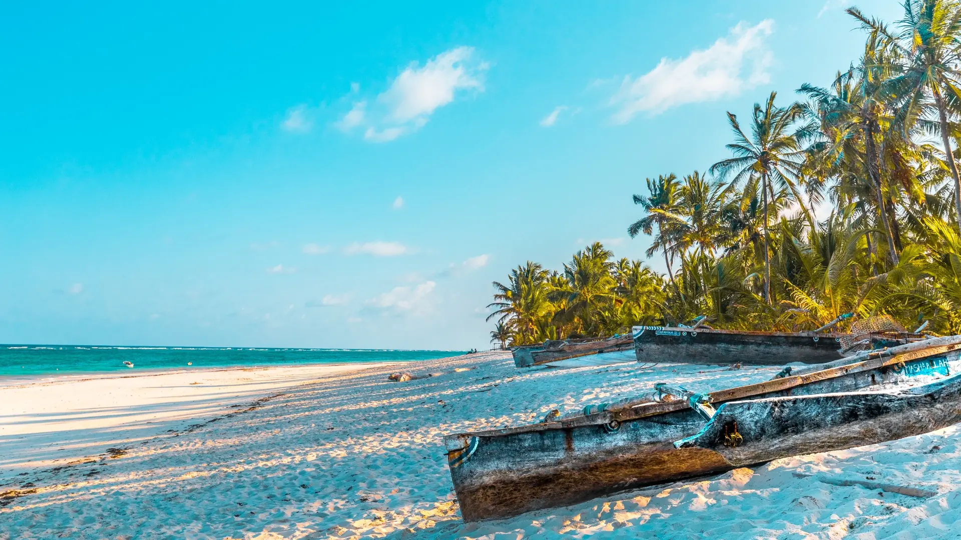 Traditional fishing boats on a palm-fringed beach in the Seychelles