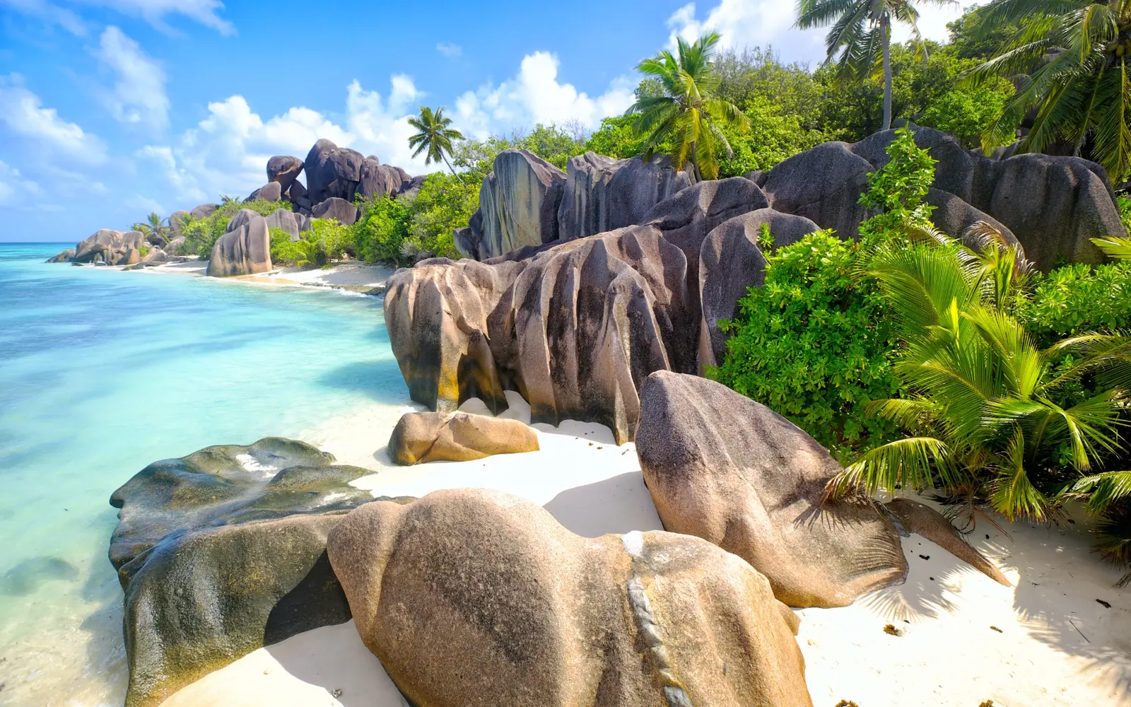 Granite boulders, palms and turquoise water on a Seychelles beach