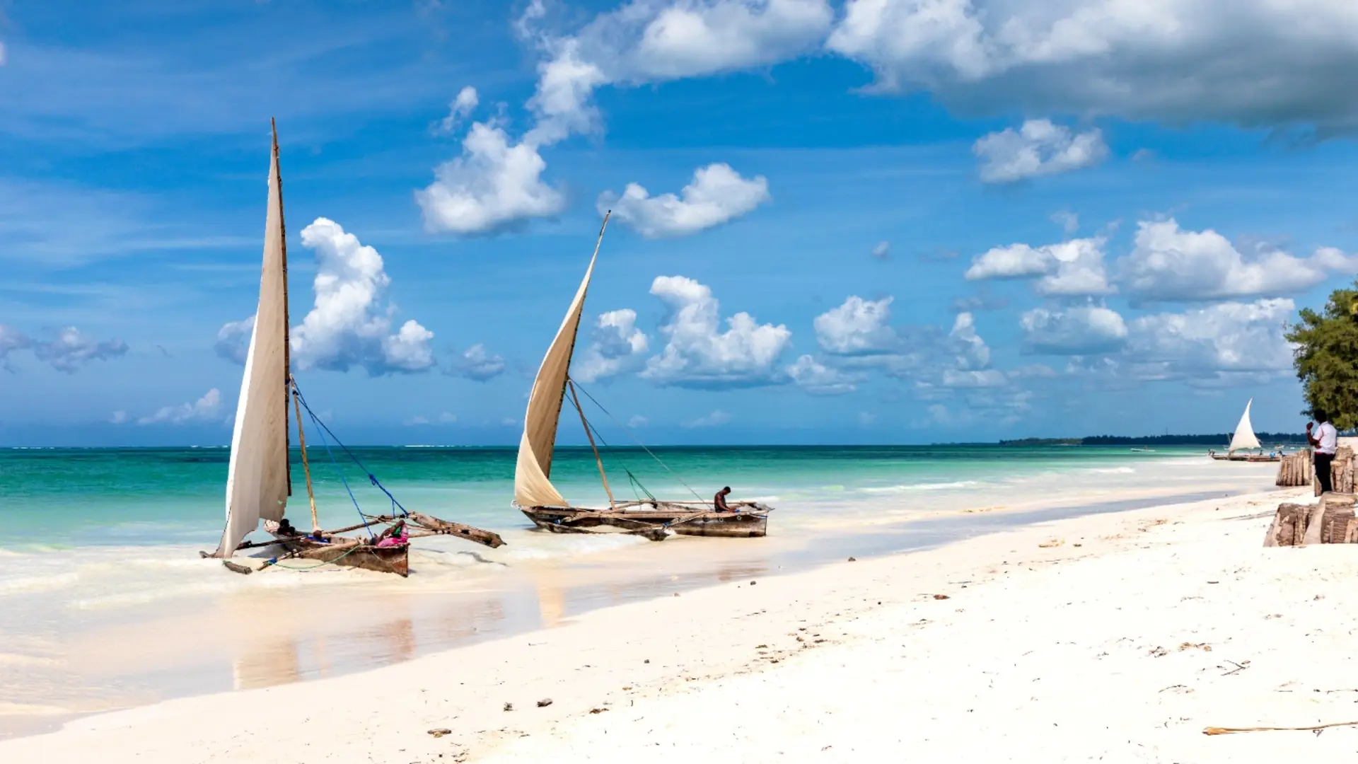 Traditional dhow boats on a white-sand beach in Zanzibar