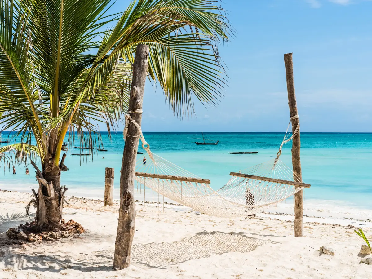 Hammocks beneath palm trees beside turquoise water in Zanzibar